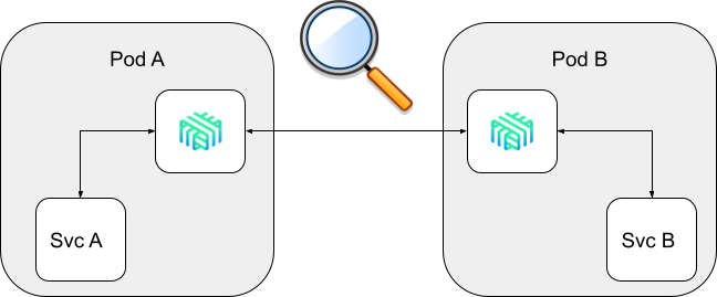 Protocol Detection.